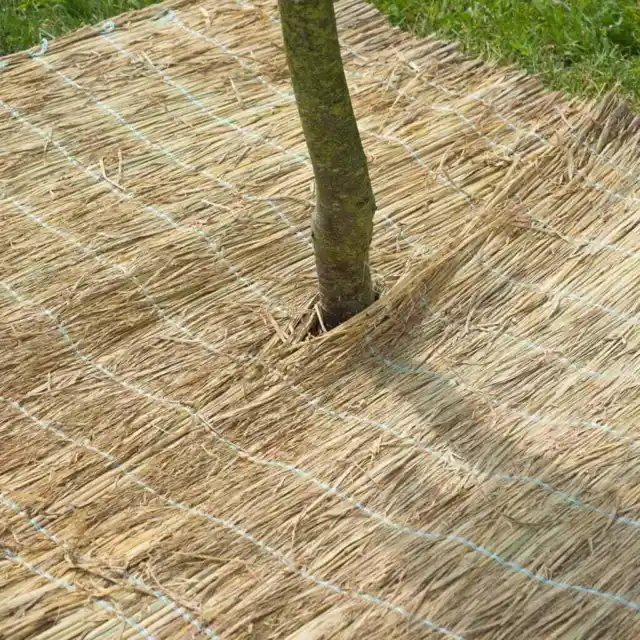 Nature Winterschutz Schutzmatte Reisstrohmatte Frostschutz Matte 1x1,5 m 6030105