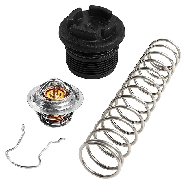 Thermal Regulator For Pentair Mastertemp 400/333/300/200/125 And Pentair Sta-R