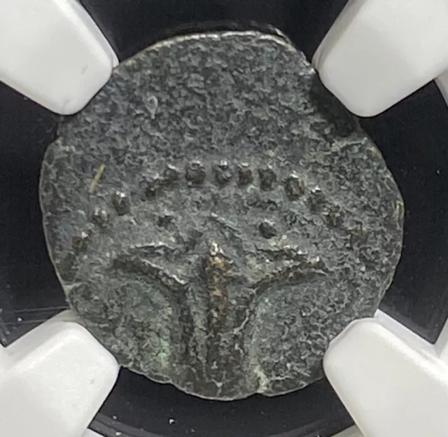 NGC VF John Hyrcanus I 135-104 BC, Judaea Jesus Widows Mite Bible Flower Coin