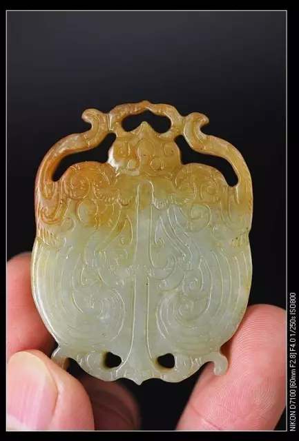 Unique Chinese Han Dynasty Natural Jade Hand-Carved *Beetle* Pendant A10