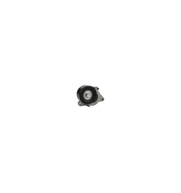 Galet tendeur de courroie accessoire pour Nissan Cabstar Navara Pathinder 2.5 dC