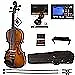 Cecilio Violin For Kids & Adults - Beginners Violins Kit, 4/4 -- Varnish
