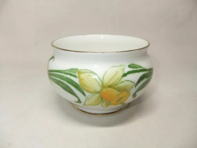 Aynsley Sugar Bowl Daffodil Pattern Bone China Open Small  - BJ414