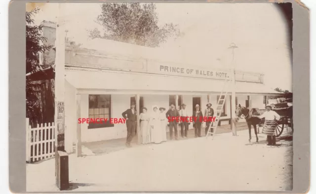 Original Old CABINET Photo Prince Of Wales Hotel Watervale South Australia c1895