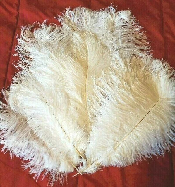 20 White Ostrich Feathers 12-16" Wedding Party Decor Centerpiece Great Gatsby