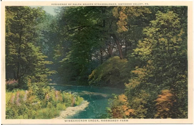 Wissahickon Creek, Normandy Farm, Gwynedd Valley PA Postcard