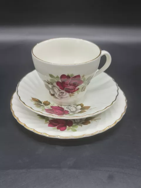 James Kent Old Foley Staffordshire Trio Cup Saucer Plate Floral