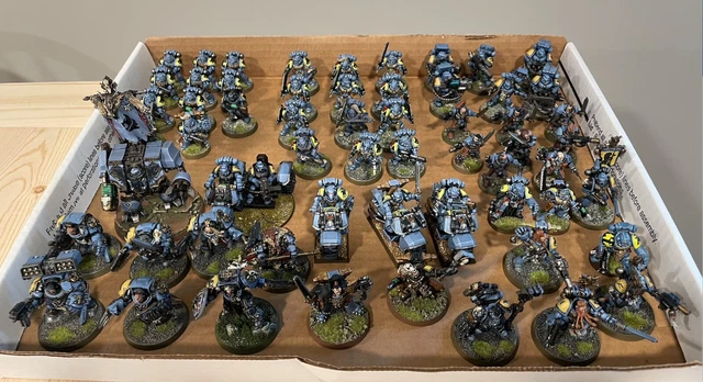 Space Wolves Firstborn Army 2 - Warhammer 40k - Beautifully Painted Space Wolves Firstborn Army 2 - Warhammer 40k - Beautifully Painted
