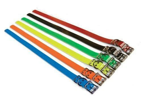 SportDog 1 Inch replacement strap for SportDog Remote Training Collars