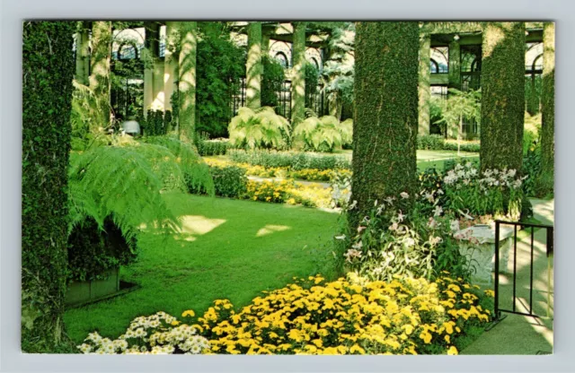 Conservatory Interior, Longwood Gardens, Wilmington Delaware Vintage Postcard