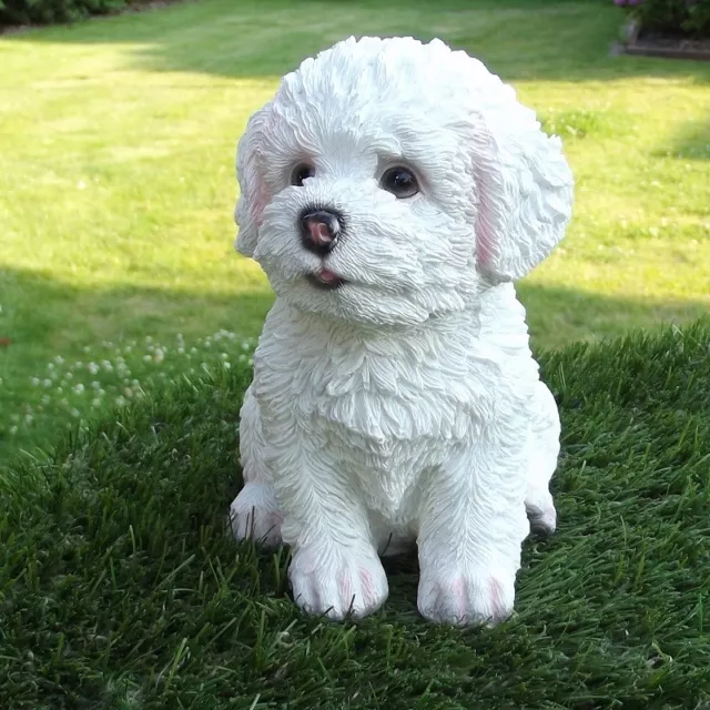 Gartenfigur Hund Malteser Bichon Frise 3243 Welpe Westi Garten Deko Figur