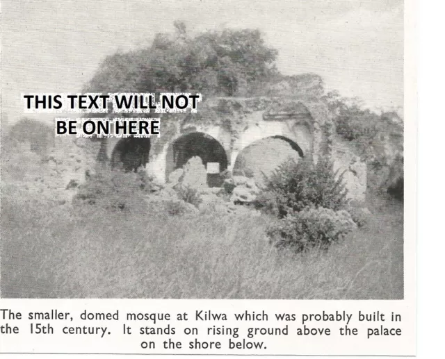 AFRICA off Tanzania island KILWA SMALL DOMED MOSQUE ABOVE PALACE 1953 CLIPPING