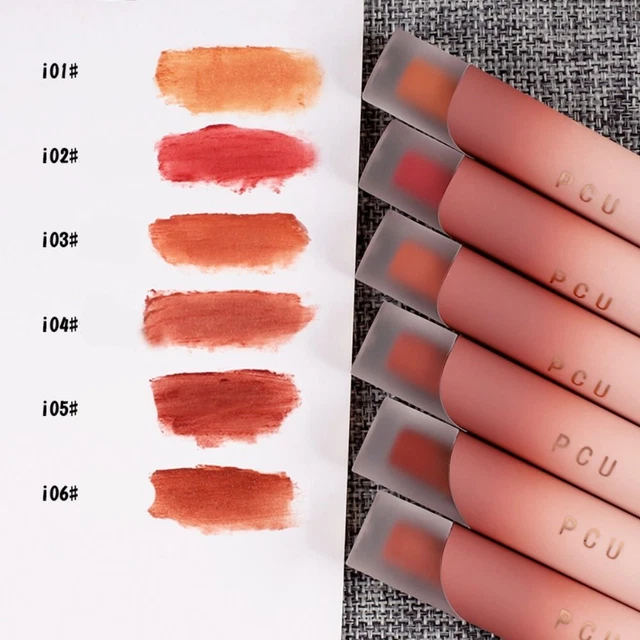 Rouge à lèvres en velours Longue durée Gloss à lèvres Rouge à lèvres mat
