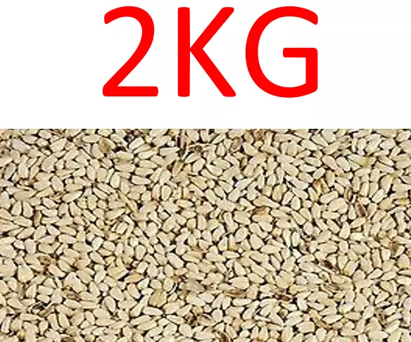 Avigrain Safflower Seed 2kg