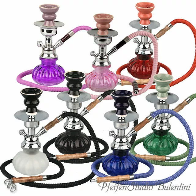 SHISHA Wasserpfeife Hookah LUXOR 25cm 1 Schlauch mit Zubehör und Kohlezange