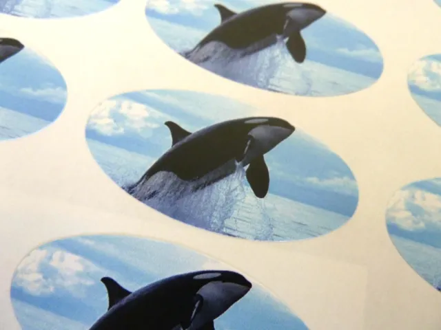 Killer Whale Oval Seal Labels, Stickers for Craft, Gift Wrap, Envelopes, Cards