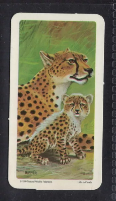 CHEETAH - 50 + year old Canadian Trade Card # 30