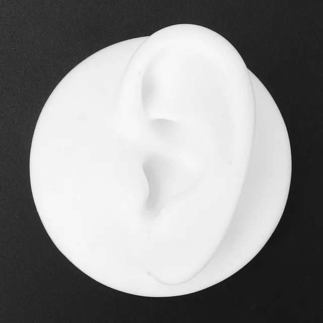 Simulazione modello orecchio in silicone sinistro destro orecchio umano strumento di visualizzazione modello (sinistra) BST