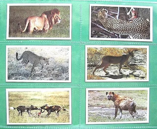 African Wildlife - John Player - Grandee - 1990 - Full Set (30) - Vg - Nice