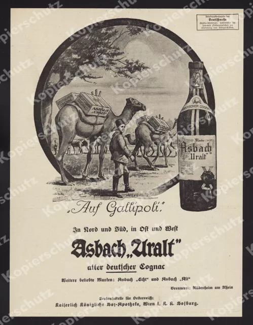 orig. Reklame Asbach Cognac Rüdesheim Schlacht von Gallipoli Kamele Osmane 1915