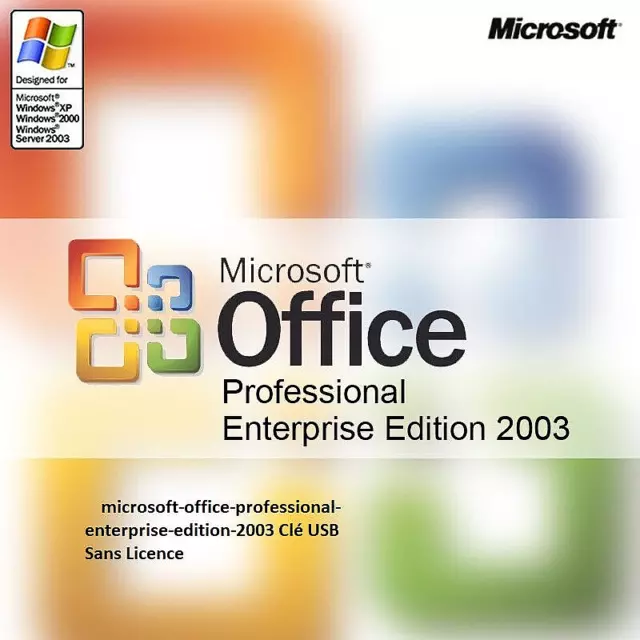 microsoft-office-professional-enterprise-edition-2003 Clé USB Sans Licence