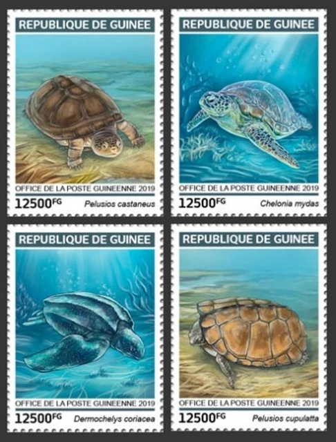 Guinea - 2019 Turtles auf Briefmarken - 4 Briefmarke Set - GU190119a