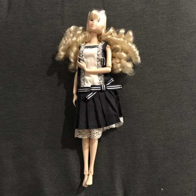 petworks sekiguchi momoko doll