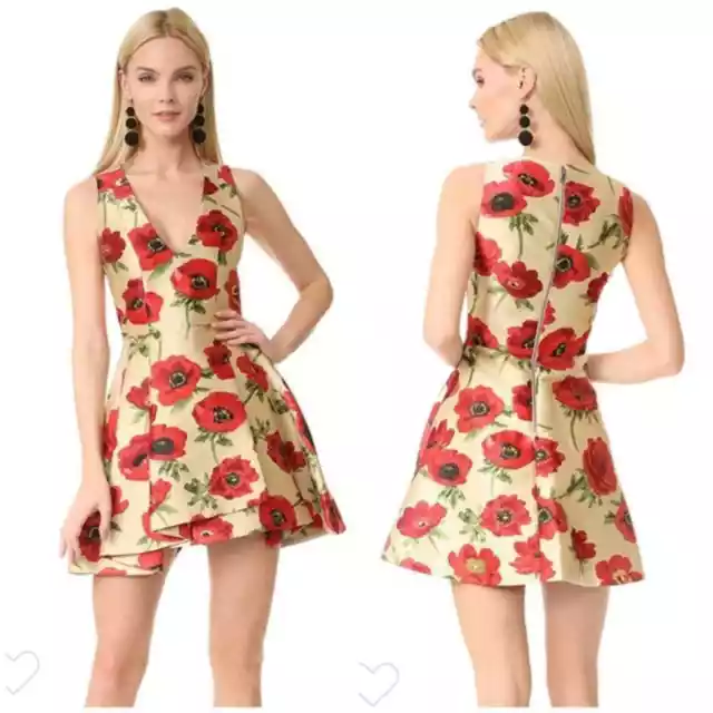 ALICE + OLIVIA Tanner Asymmetrical Fit-&-flare Dress In Falling Poppy 2