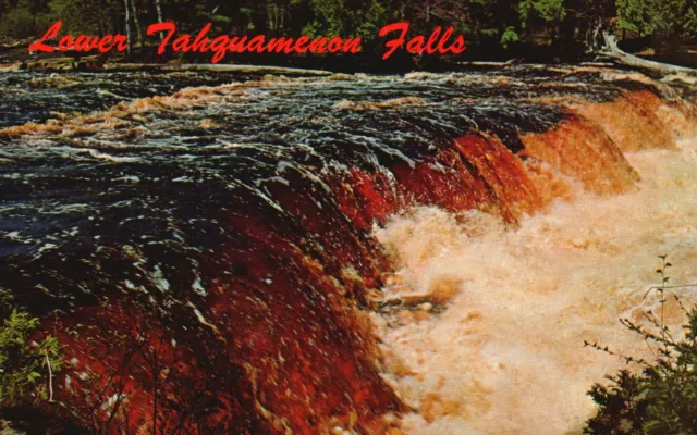 Vintage Postcard Lower Tahquamenon Falls Golden River Tourist View Michigan MI