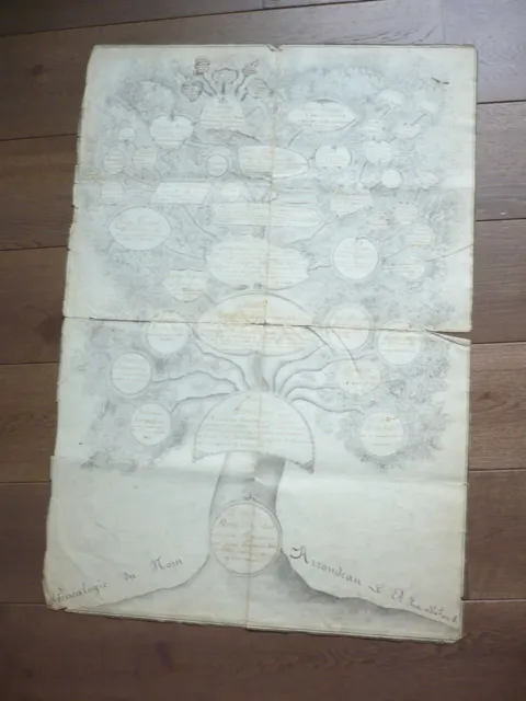 Large Manuscript Genealogical Tree 1810 Heraldic Arrondeau Family