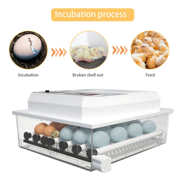 EGG INCUBATOR AUTOMATIC Chicken Quail Chick Hatcher Incubators for