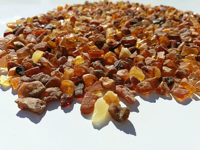 Raw Baltic amber small pieces chips beads 100 gr multicolor