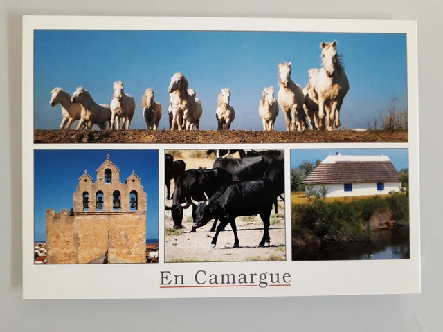 Chevaux - Animaux - Chevaux - Camargue - Le Gardian Et Sa Mireille De Retour A Leur Cabane Cpm Voir Scans Recto Verso 2192706723