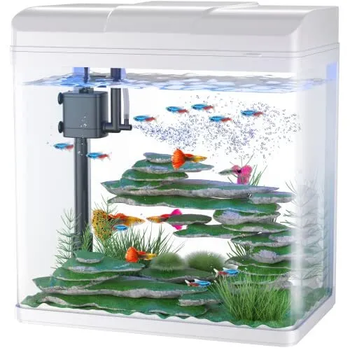 5 Gallon Fish Tank, Glass Aquarium with Air Pump, LED Cool 5 Gallon White