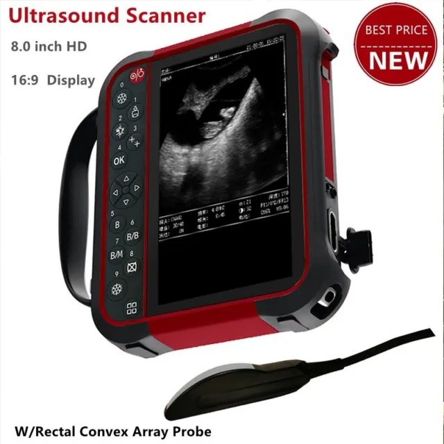 GDF-K9 8" Cow Veterinary Ultrasound Scanner W/Rectal Convex Array Probe