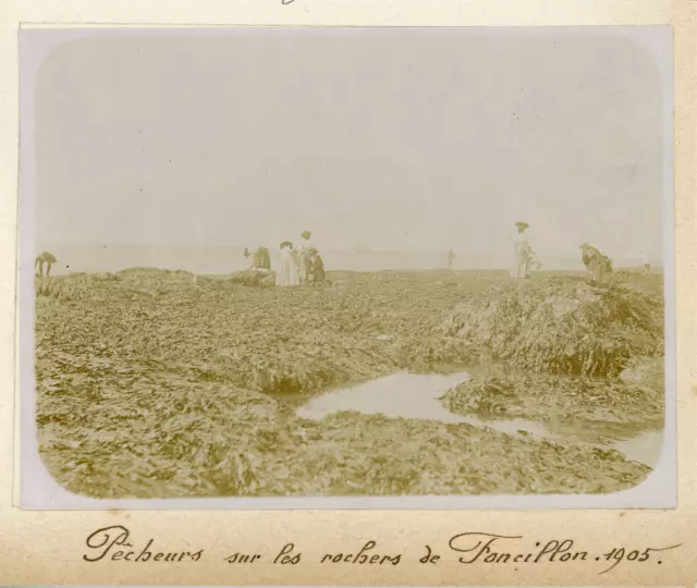 France, Royan, Pêcheurs sur les rochers de Foncillon 1905, Vintage citrate print