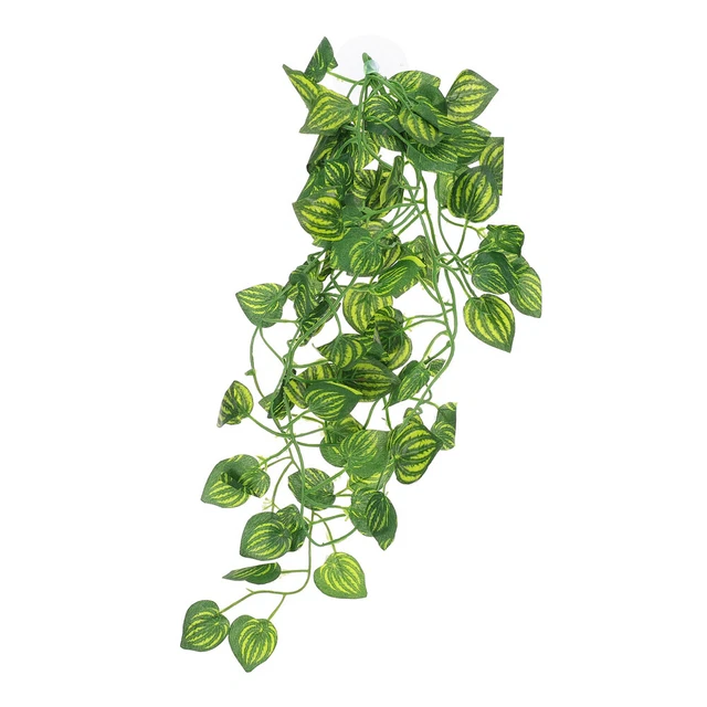 Ciotole Per Rettili Trixie Foresta Pluviale - Set Da 2 | In Resina Alimentare 10x2.5x7.5 Cm