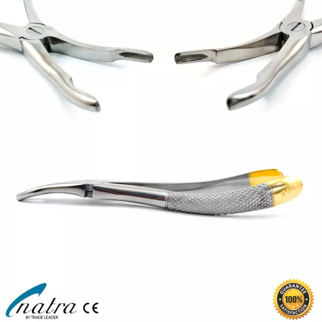 Extraktionszange No. 49 Tooth Forceps Maxilla Lower Jaw Molar Dental Tongs