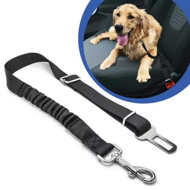 Auto Voiture Chiens Animal Ceinture de Sécurité Verbindungs-Gurt Réglable