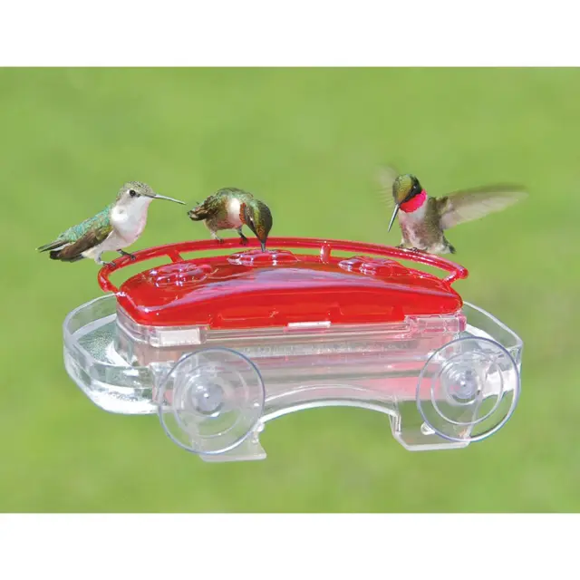 Jewel Box Hummingbird Feeder Easy Viewing Windows Drink Feeding Pet Bird Outdoor 3
