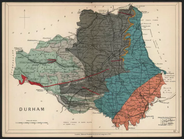 COUNTY DURHAM Geological map. STANFORD 1907 old antique vintage plan chart