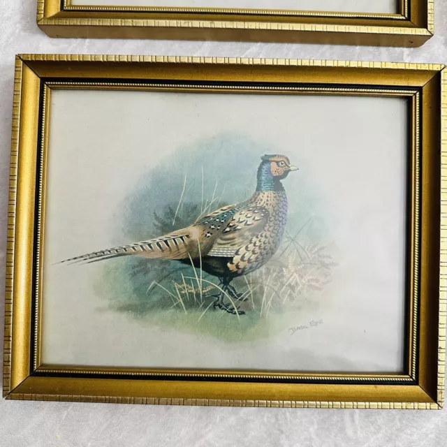 4 x Vintage Framed Basil Ede Prints British Game Birds 5 x 7" Partridge, Grouse 3