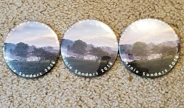 Bernie Sanders "This Land Is Our Land" 2016 Political Pins Set of 3