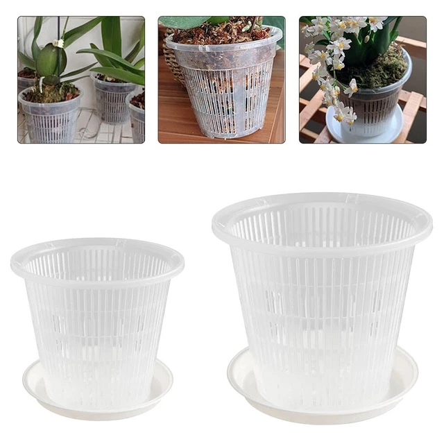 Pot à Orchidées Transparent Avec Soucoupe - Plastique Aéré Avec Trous De Drainage - 16 Cm