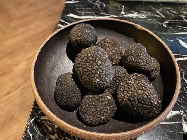 Precious ITALIAN fresh black truffles. Black truffle 100g. 3,5 oz. FIRST CLASS