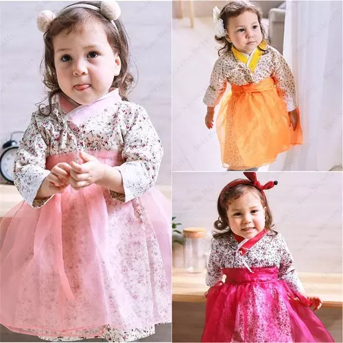 Baby Girl Traditional Korean Hanbok Party Formal Dress Kids Floral Asian Clothes