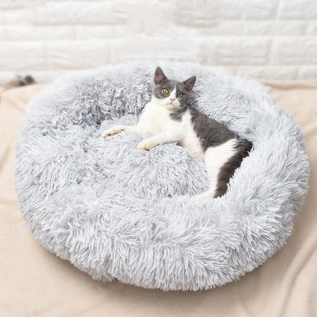 Cat Beds for Indoor Cats, Cat Bed/Small Dog Beds for Small Dogs, 24'' Washable D