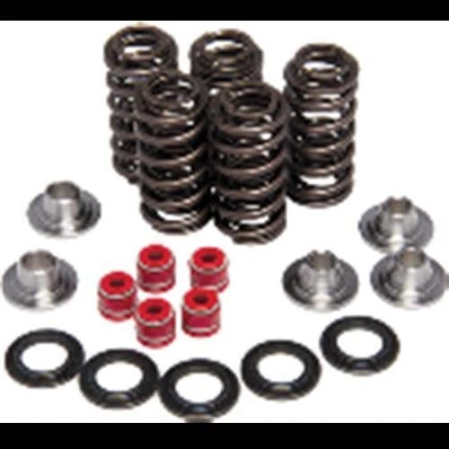 Kpmi Racing Valve Spring Kit - 60-60240