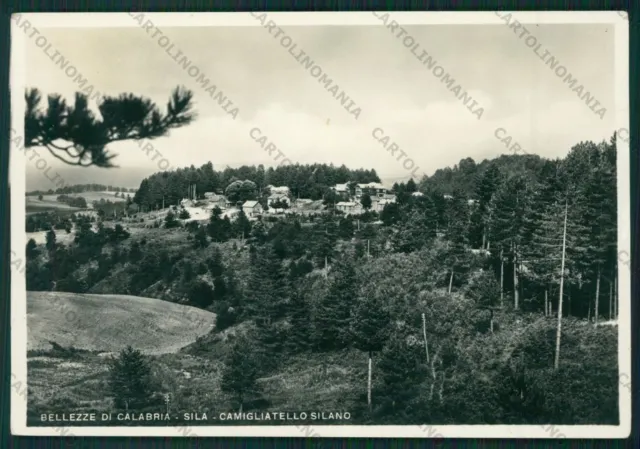 Cosenza Spezzano Camigliatello Silano Foto FG cartolina ZK1642