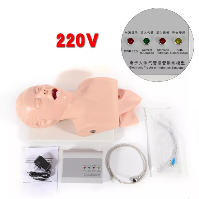 220V Intubation Manikin Study Teaching Model Airway Management Trainer Tool  PVC